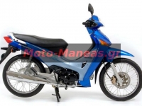 anf1251