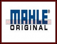 mahle