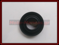 ΜΕΜΒΡΑΝΗ ΣΛΑΙΝΤ BMW F650 ST 1996-2000