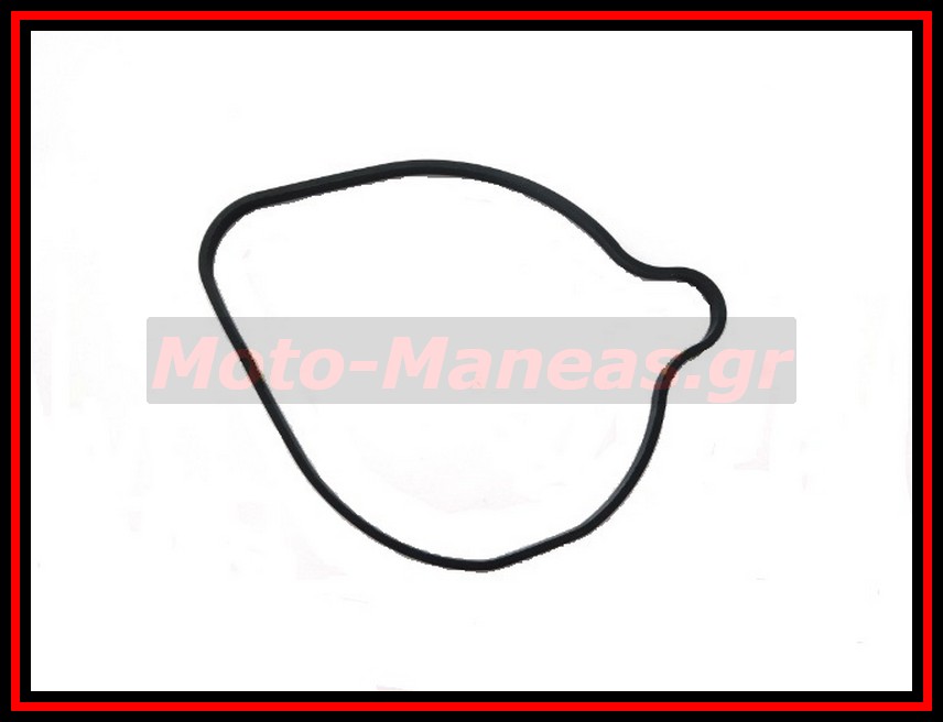 ΦΛΑΝΤΖΑ ΚΑΠΑΚΙΟΥ ΑΝΤΛΙΑΣ ΝΕΡΟΥ BMW F650 GS 2000-2007